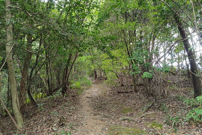 off-the-beaten-path-hike-through-kyotos-best-spots