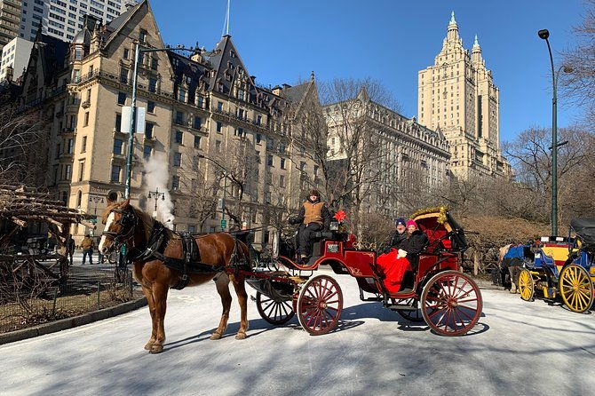 official-nyc-horse-carriage-rides-in-central-park-since-1979