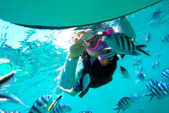 ok-from-2-years-old-sea-picnic-snorkel