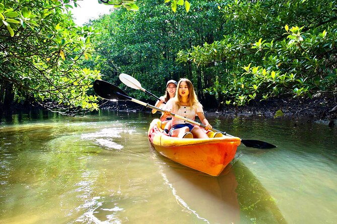 okinawa-iriomote-mangrove-sup-or-canoe-tour