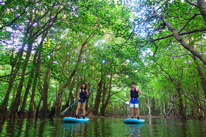 okinawa-iriomote-sup-or-canoe-and-sightseeing-in-yubujima-island
