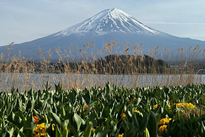 one-day-mountain-fuji-hakone-tour-with-english-hindi-bilingual