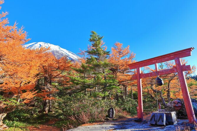 one-way-bus-from-hirayu-to-tokyo-via-mt-fuji-5th-station