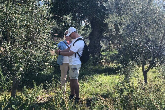organic-olive-grove-tour-olive-oil-tasting-lunch-in-kalamata