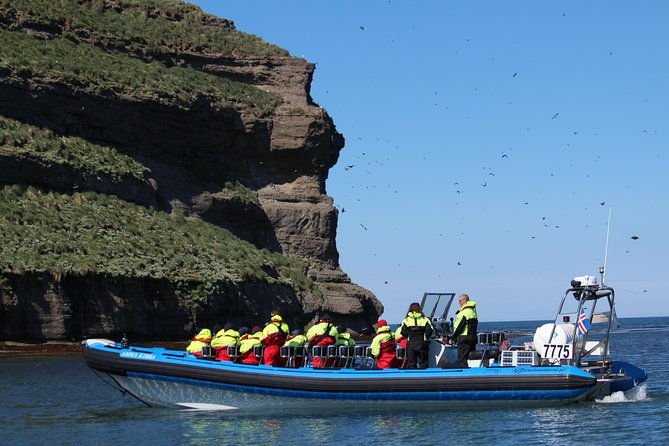 original-big-whale-safari-and-puffins-rib-boat-tour-from-husavik