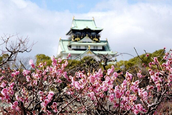 osaka-cherry-blossom-tour-with-a-local-100-personalized-private