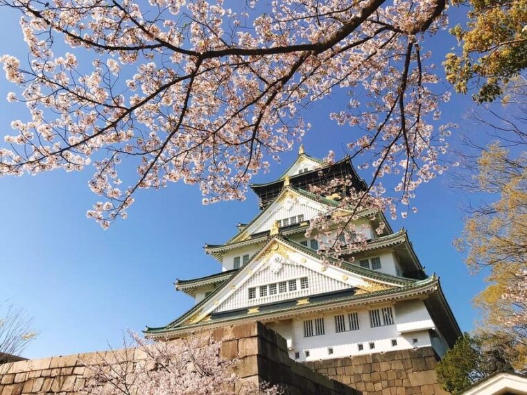 osaka-classic-private-car-tour-with-hotel-pickup