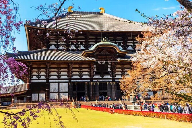 osaka-nara-todaiji-uji-matcha-and-hot-spring-tour-2