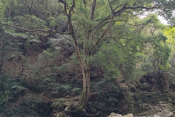 osaka-river-rapids-hike-and-natural-hot-spring-tour