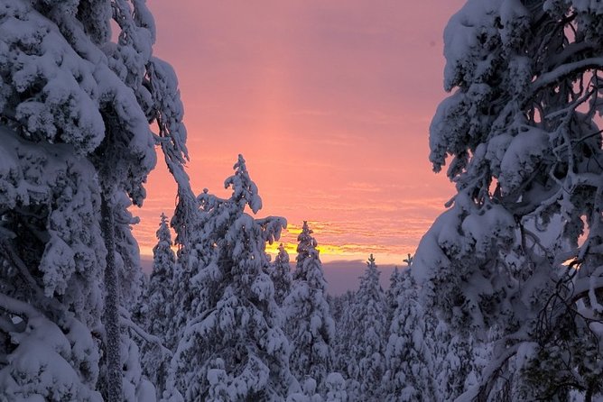 ounasvaara-and-ranua-zoo
