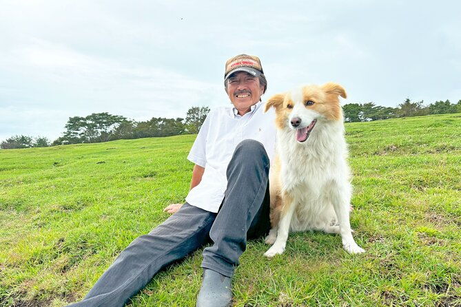 pasture-hike-with-horse-whisperer-at-horse-trust-in-kagoshima