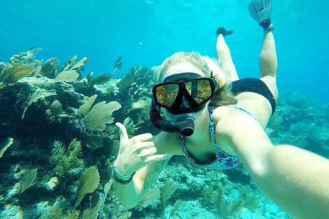 pm-half-day-trip-from-key-west-with-kayaking-snorkeling-sunset