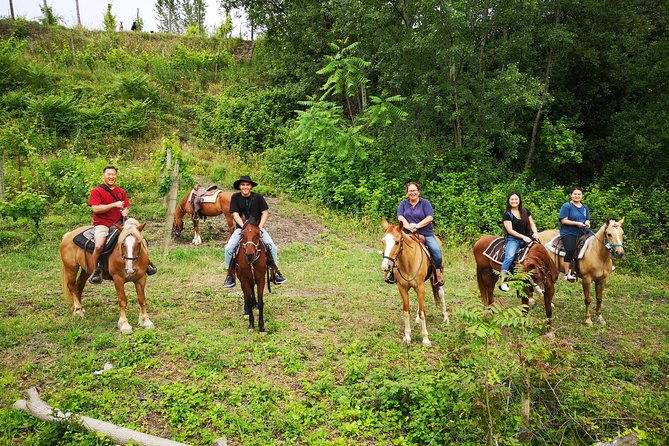 pompeii-guided-tour-horse-riding-on-vesuvius-with-lunch