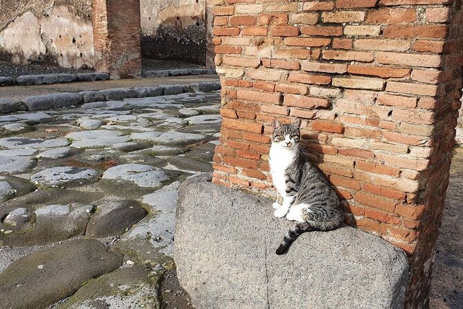 pompeii-the-ancient-city-tourtransfer
