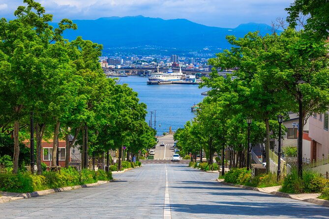 port-pick-up-hakodate-tour-with-licensed-guide-and-vehicle