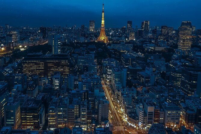 private-amazing-tokyo-night-tour-with-english-speaking-driver