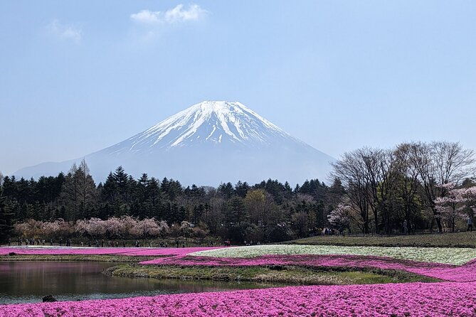 private-car-mt-fuji-and-gotemba-outlet-in-one-day-from-tokyo