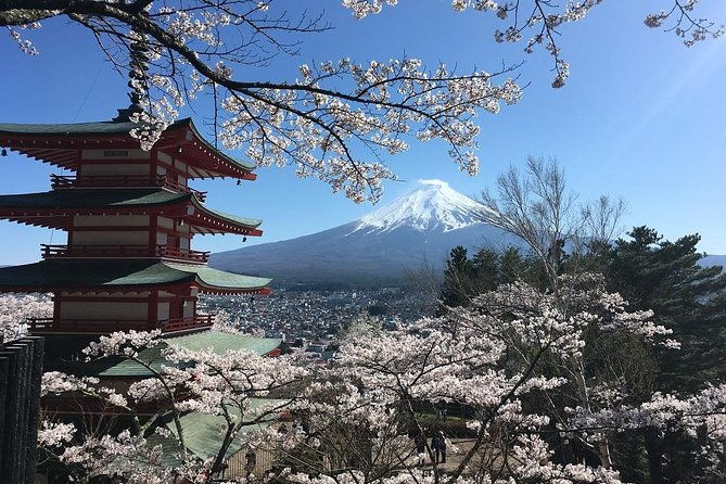 private-car-tour-to-mt-fuji-lake-kawaguchiko
