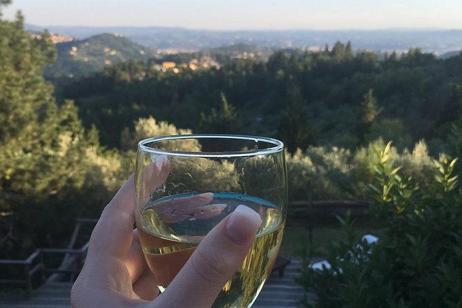 private-cooking-class-in-a-florentine-villa-with-transfer