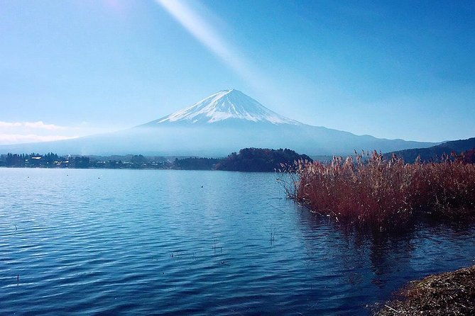 private-custom-tokyo-tour-vip