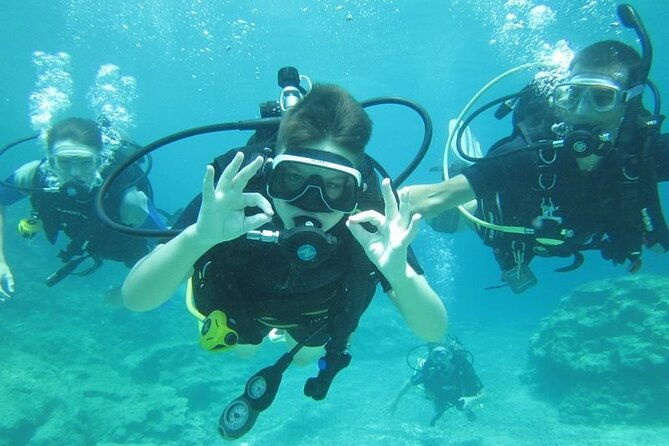 private-discovery-dive-photos-videos