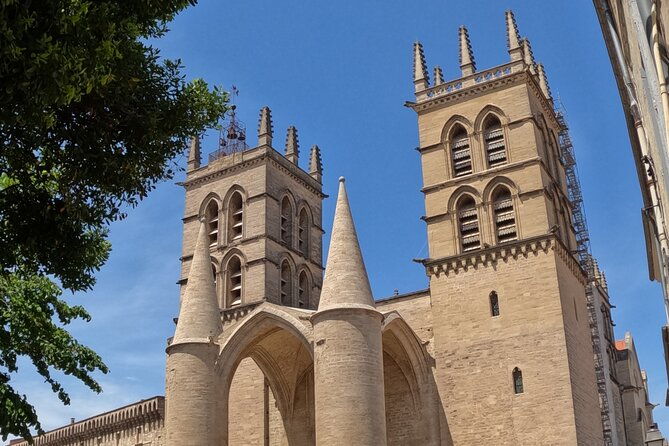 private-discovery-of-montpellier-by-bike-taxi