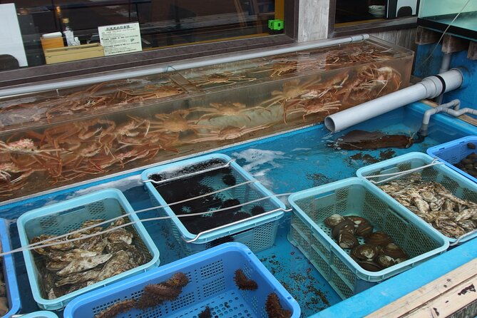 private-full-day-guided-tour-in-hakodate