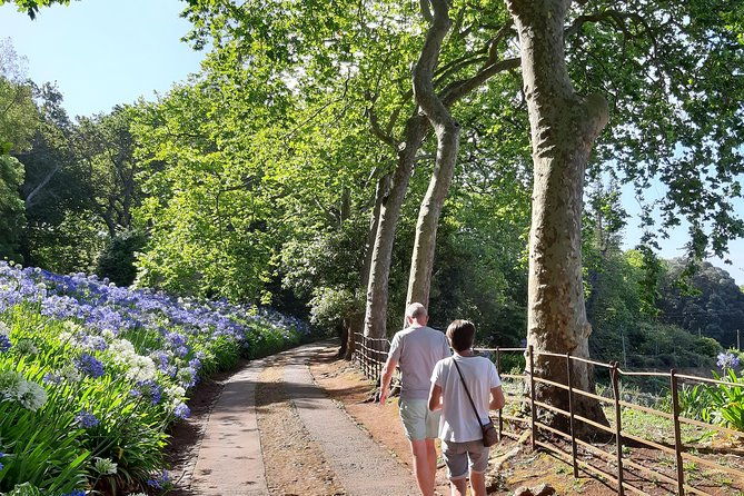 private-halfday-flower-palheiro-gardens-tour