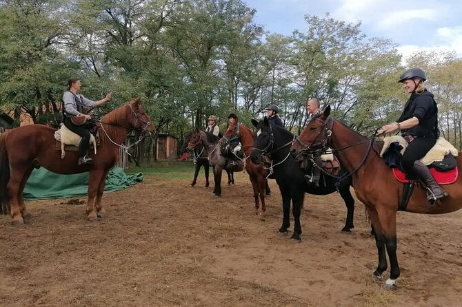 private-horse-riding-near-budapest-with-transport