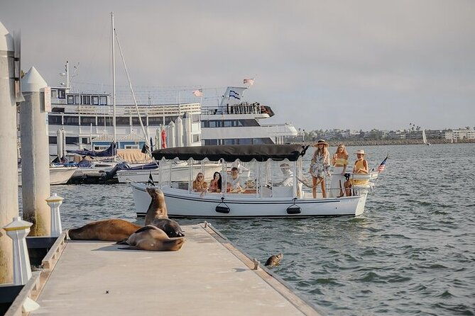 private-luxury-e-boat-cruise-with-wine-charcuterie-sea-lions-spotting