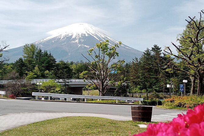 private-mount-fuji-tour-by-premium-car