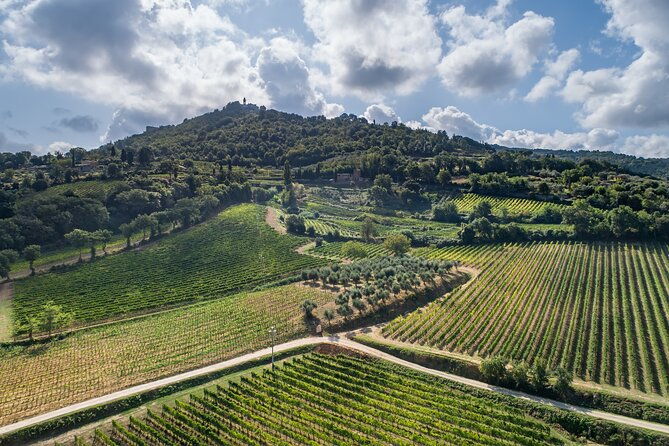 private-premium-brunello-wine-tasting-tour-food-pairing
