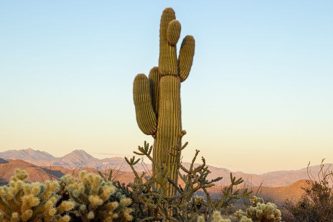private-scottsdale-off-road-jeep-tour