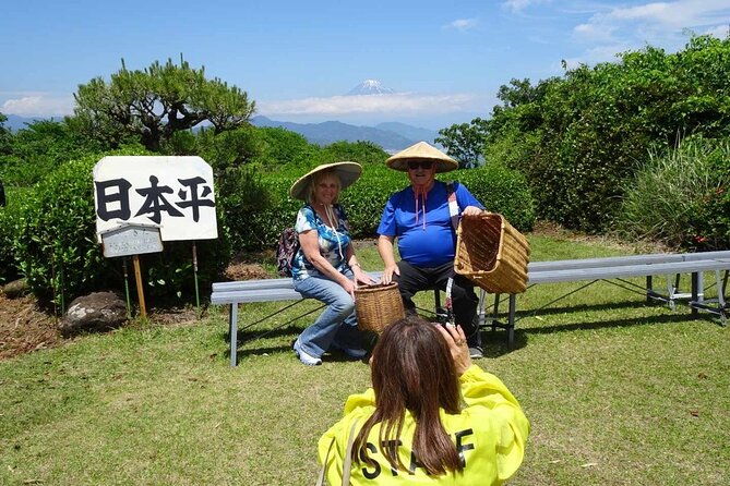private-shizuoka-tour-from-shizuoka-station-sedan-taxi