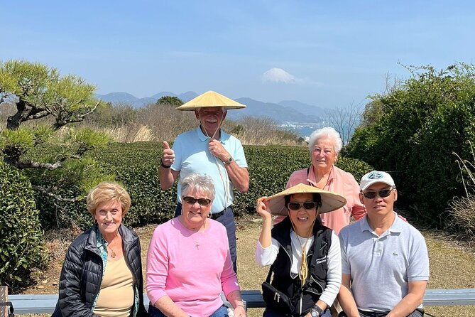 private-shizuoka-tour-from-shizuoka-station-van-taxi