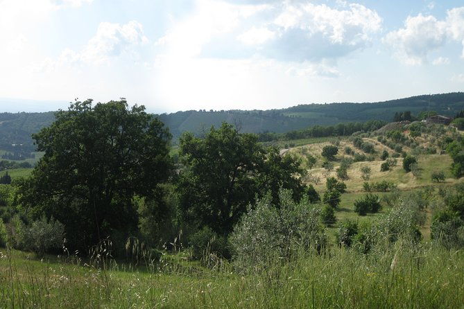 private-tour-guided-hike-in-tuscany-with-transport-from-siena