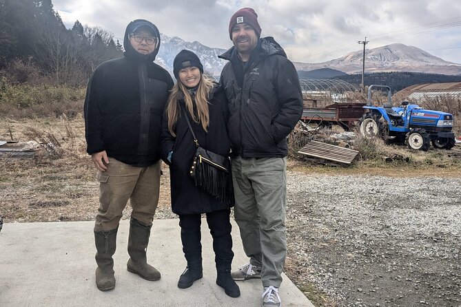 private-tour-meet-the-sheep-of-aso-and-pick-aso-strawberries