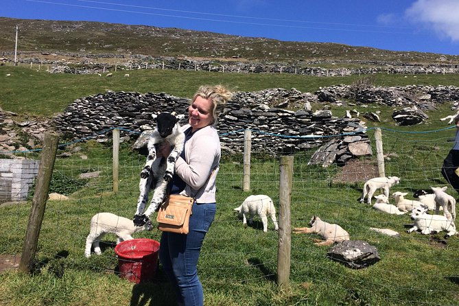 private-tour-of-dingle-and-slea-head-with-accredited-guide