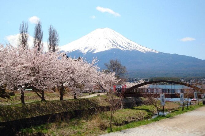 private-tour-to-mount-fuji-with-an-english-driver-from-tokyo