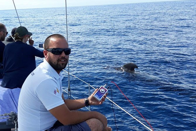 private-yacht-tour-with-whale-and-dolphin-watching-33-foot-boat