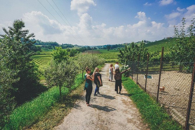 prosecco-wine-tour-from-venice-small-group-experience