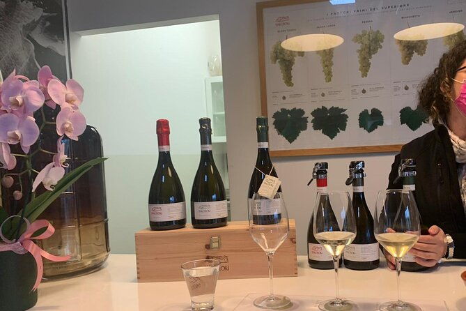 prosecco-wine-tour-tasting-full-day-in-the-prosecco-region