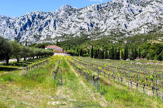provence-mont-sainte-victoire-in-search-of-cezanne-private-wine-tour