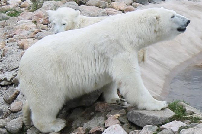 ranua-zoo-family-tour-from-rovaniemi