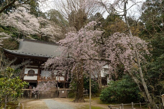 relaxed-nara-tour-from-osaka-hasedera-and-muroji-temples