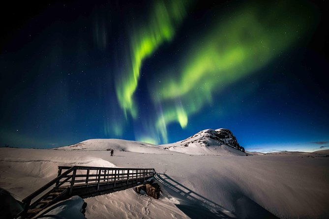rovaniemi-northern-lights-photography-small-group-tour