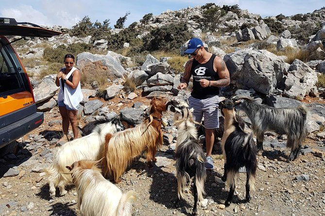 safari-zeus-lassithi-plateau-adventure-experience-excursion