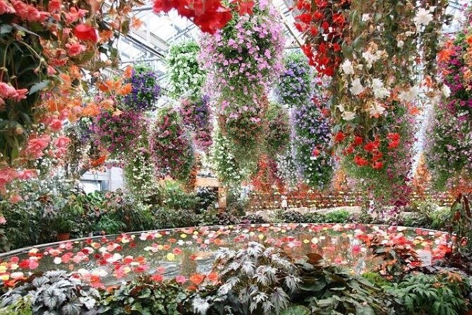 sakura-magic-and-nabana-no-sato-day-tour-from-osaka