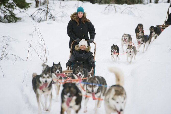 santas-reindeer-husky-safari-santas-pets-aurora-hunt