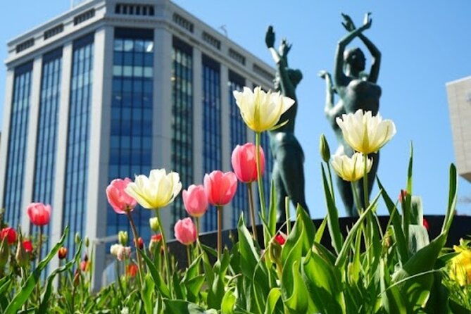 sapporo-afternoon-walking-tour-2h-30mins